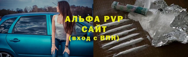spice Алзамай