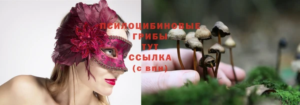 spice Алзамай