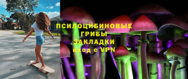 spice Алзамай