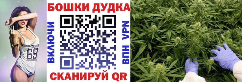 Шишки марихуана сатива  Новошахтинск 